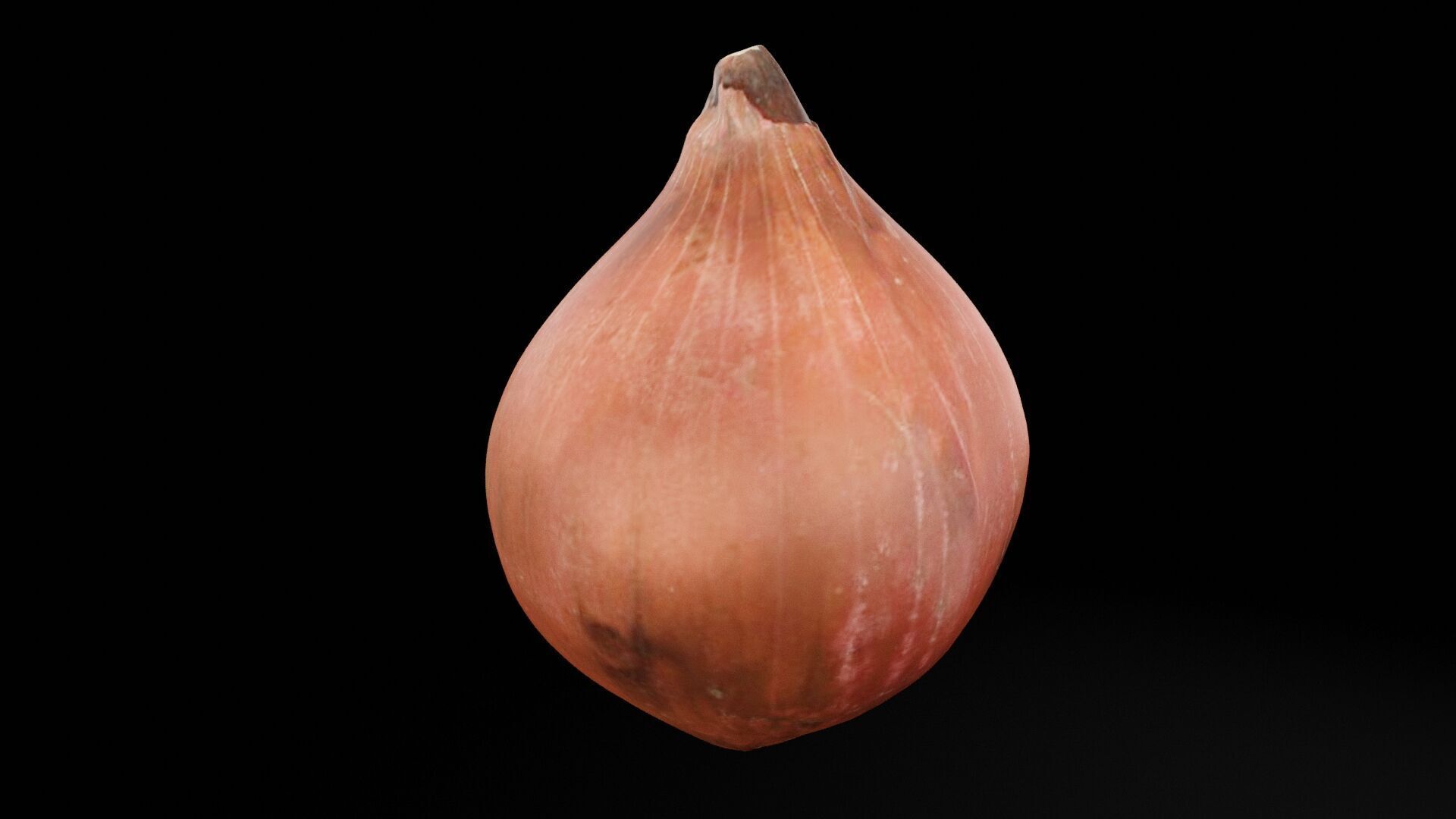 Onion Vegetable Low-poly 3D model_5