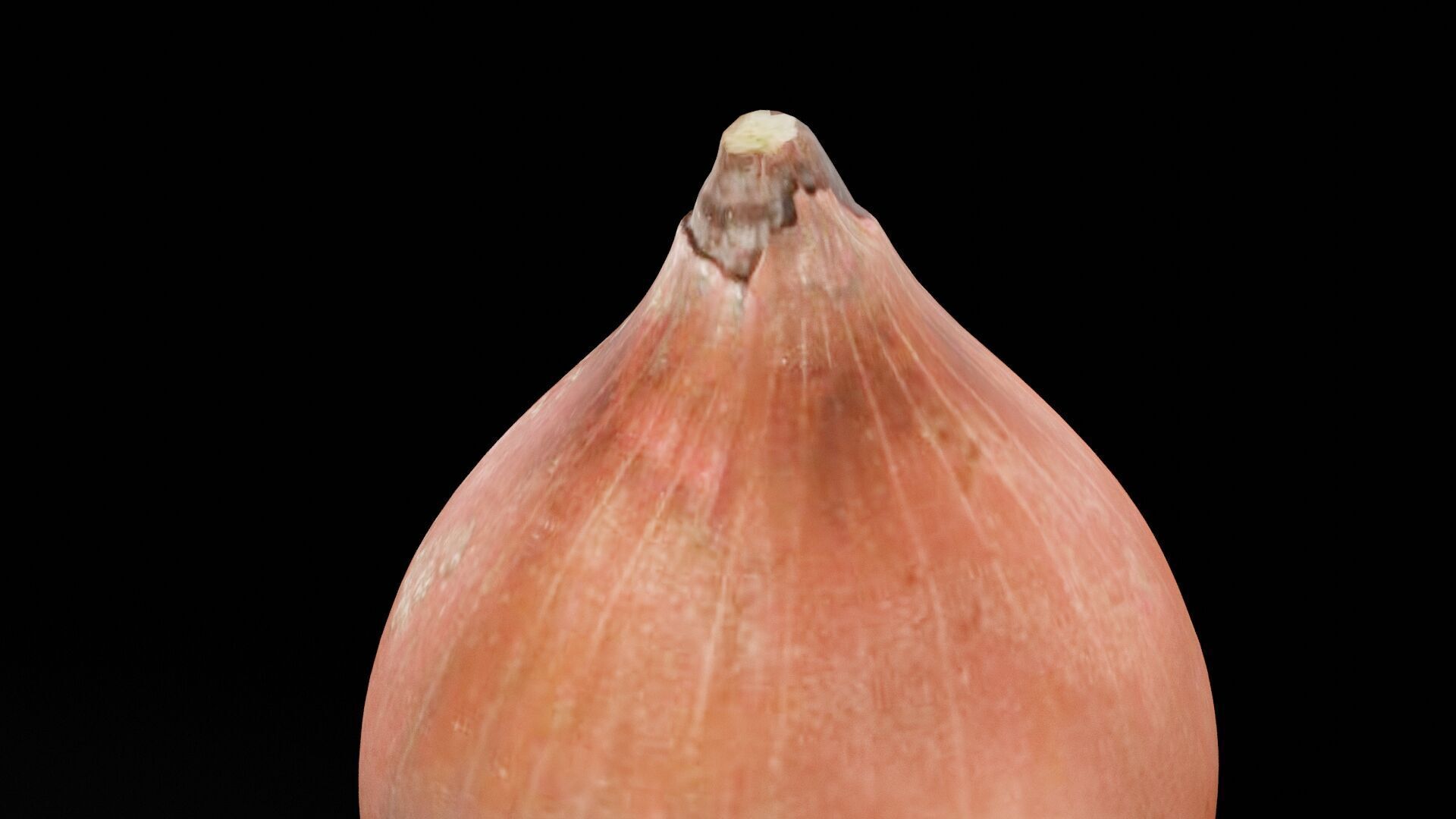 Onion Vegetable Low-poly 3D model_4