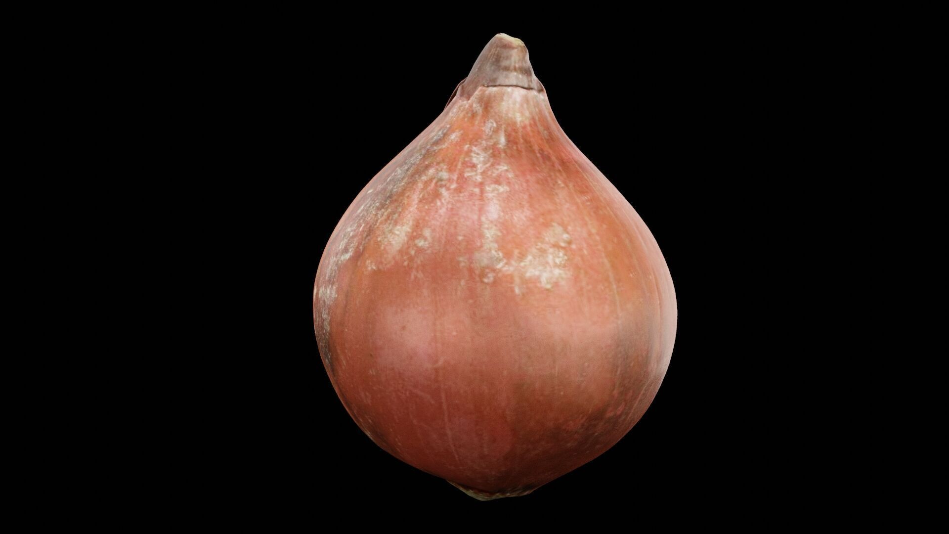 Onion Vegetable Low-poly 3D model_2