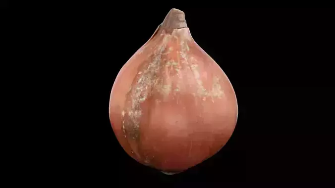 Onion Vegetable