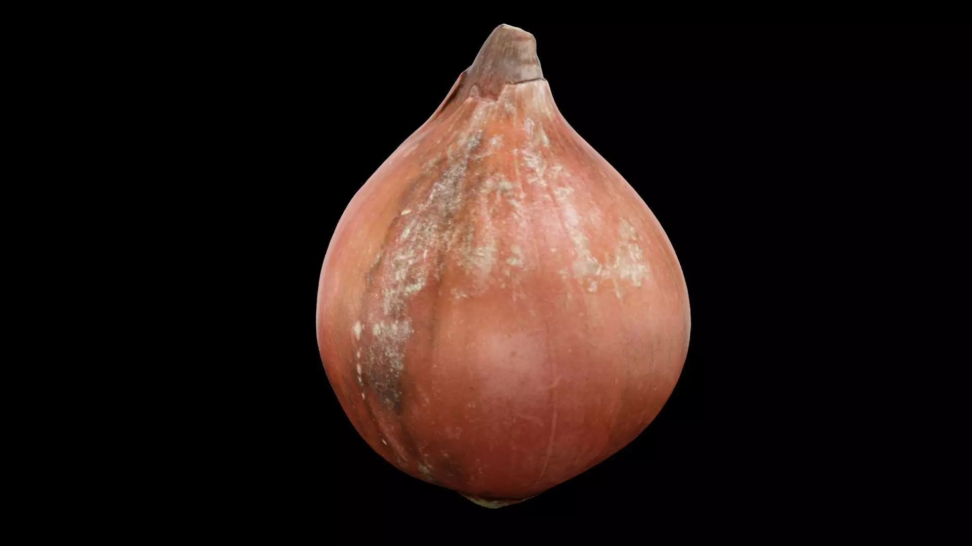 Onion Vegetable Low-poly 3D model_0