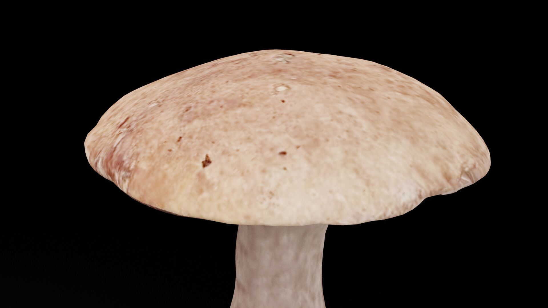 Mushroom Vegetable Low-poly 3D model_4