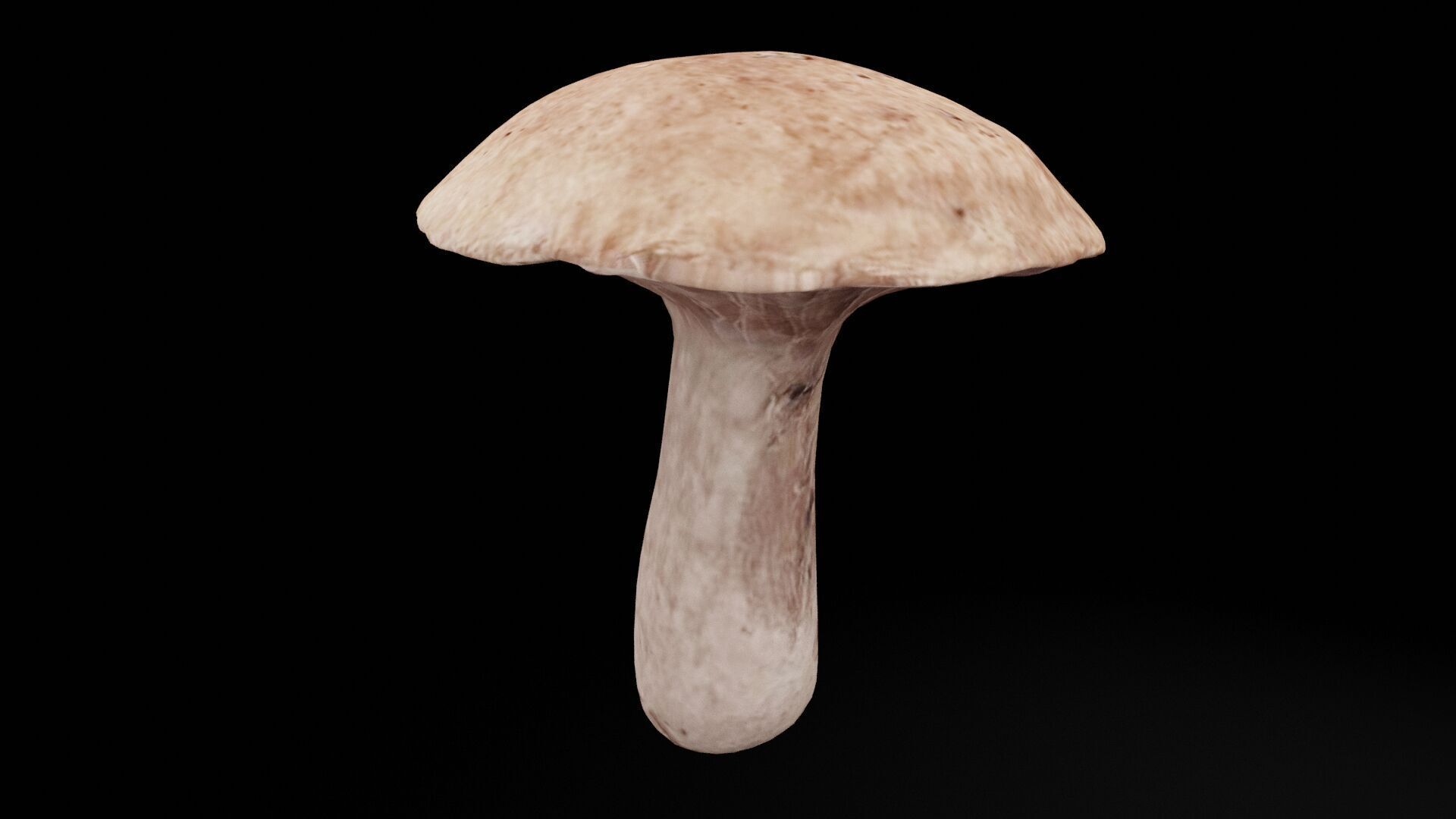 Mushroom Vegetable Low-poly 3D model_5