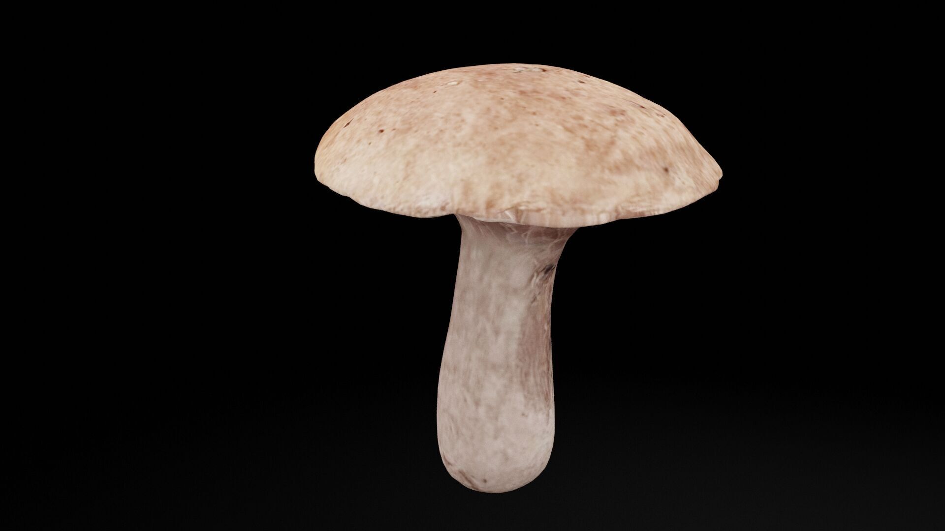 Mushroom Vegetable Low-poly 3D model_3