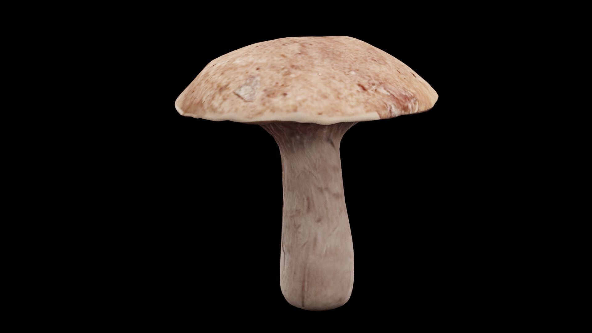 Mushroom Vegetable Low-poly 3D model_2