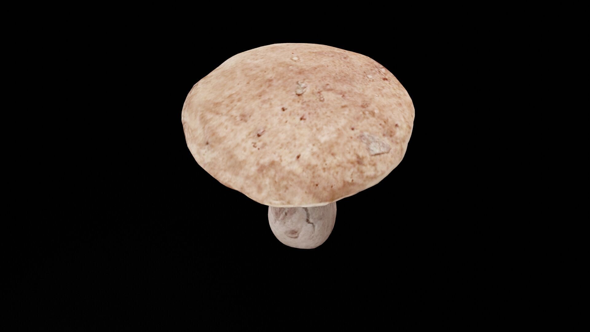 Mushroom Vegetable Low-poly 3D model_1
