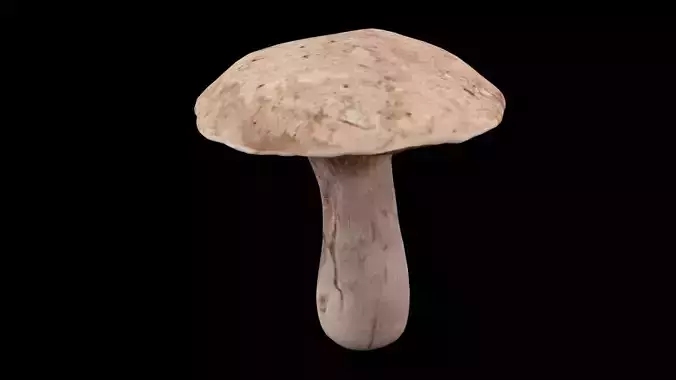 Mushroom Vegetable