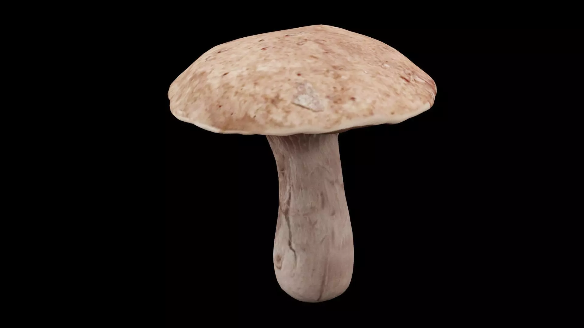 Mushroom Vegetable Low-poly 3D model_0