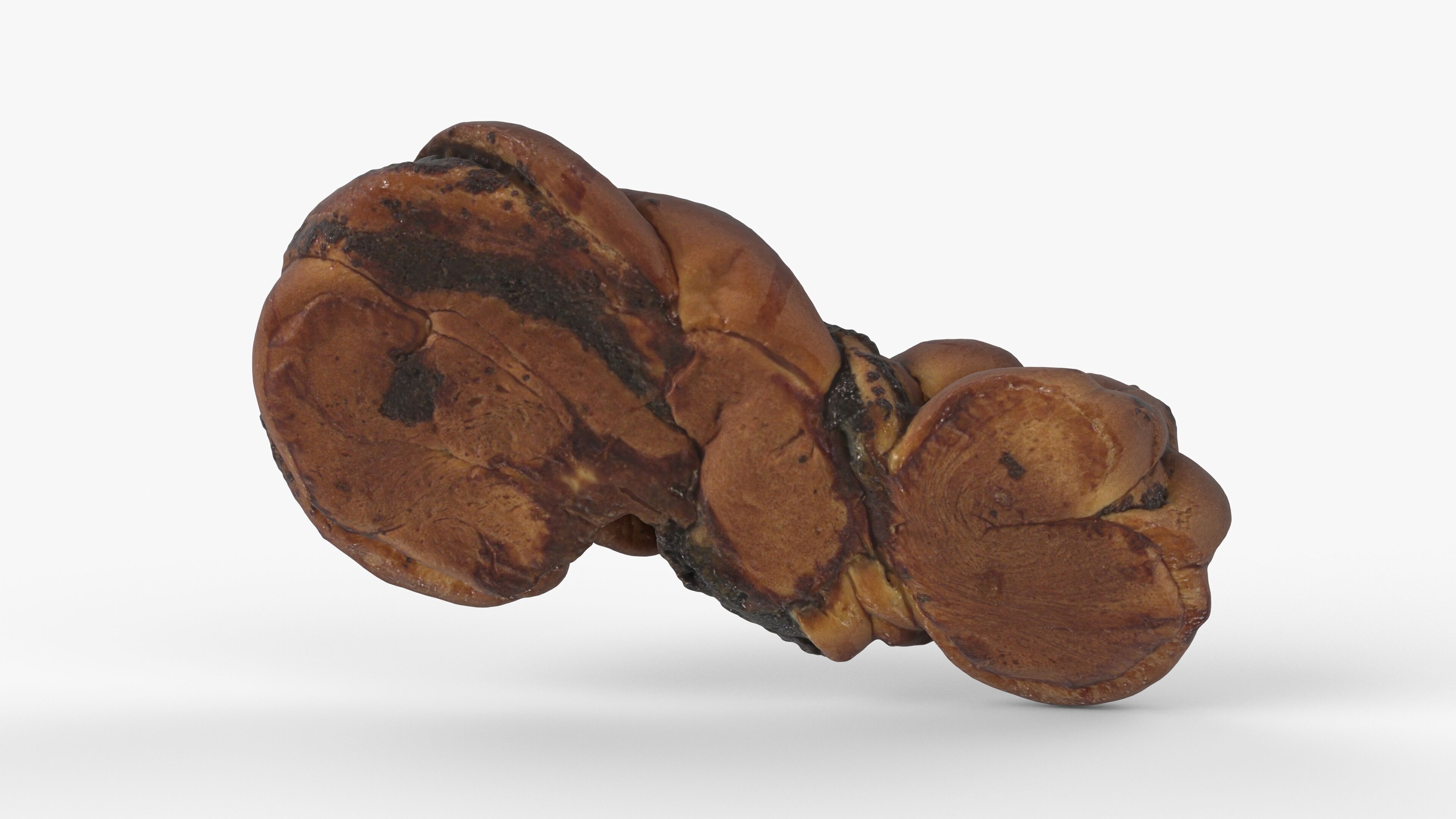 Photorealistic 3D scan of sweet poppy seed bun roll Low-poly 3D model_8