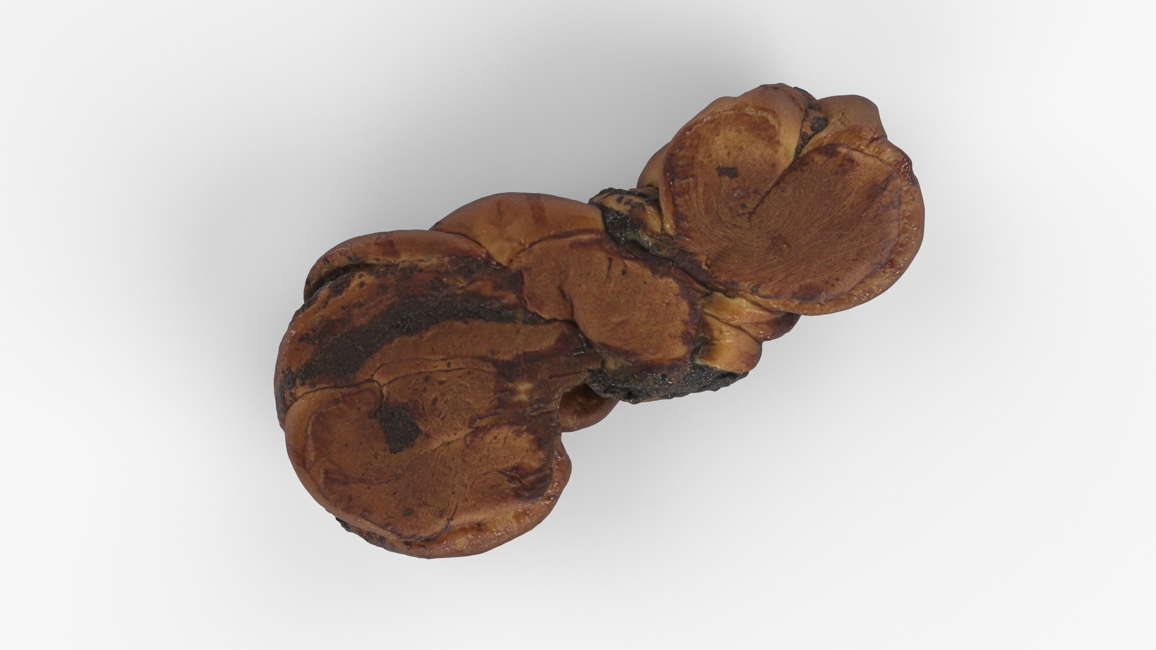 Photorealistic 3D scan of sweet poppy seed bun roll Low-poly 3D model_15