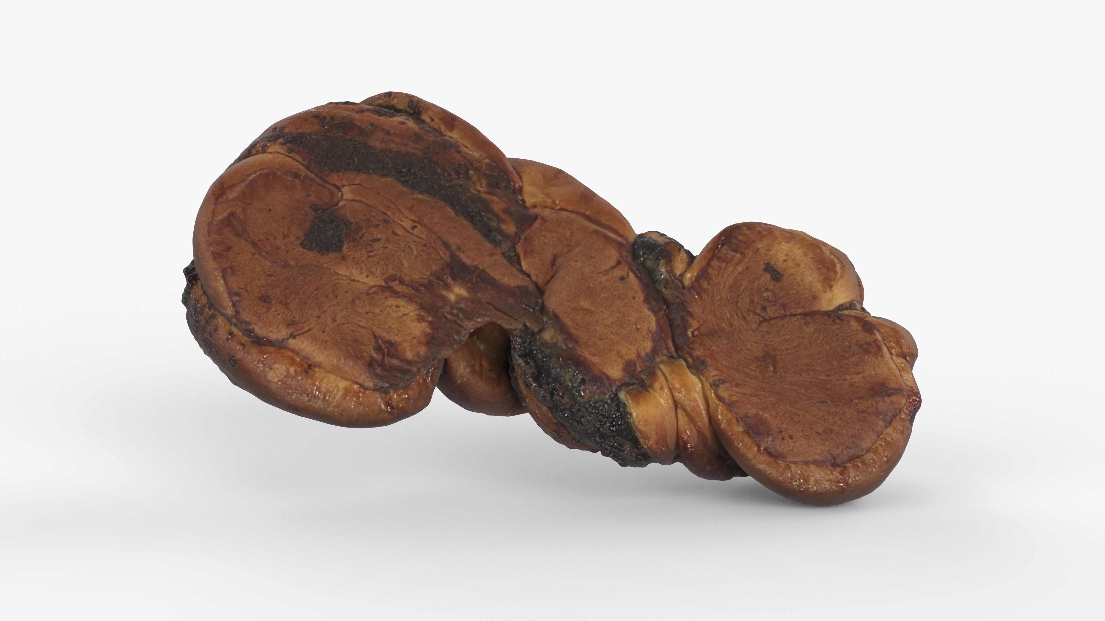 Photorealistic 3D scan of sweet poppy seed bun roll Low-poly 3D model_5