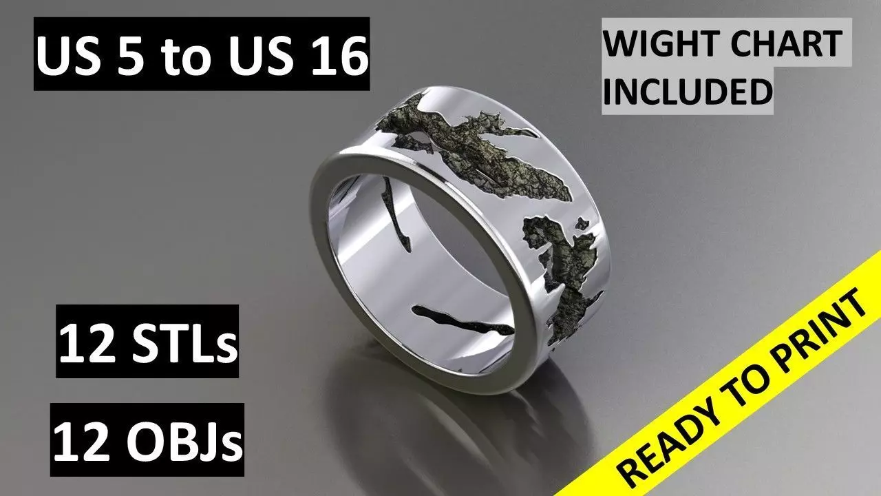 Molten Ring Burned 3D print model