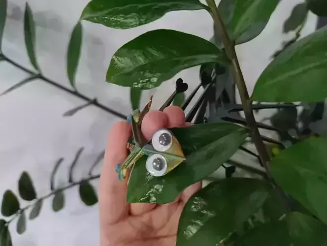 Living Love Palm Leaf SUPPORLESS and FLEXY