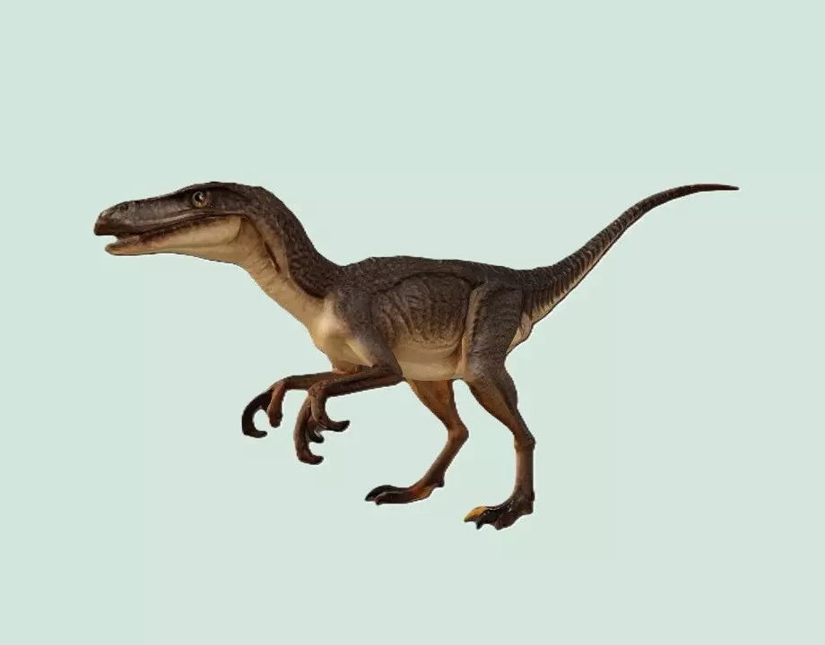 Velociraptor Dinosaur Figurine Free 3D print model