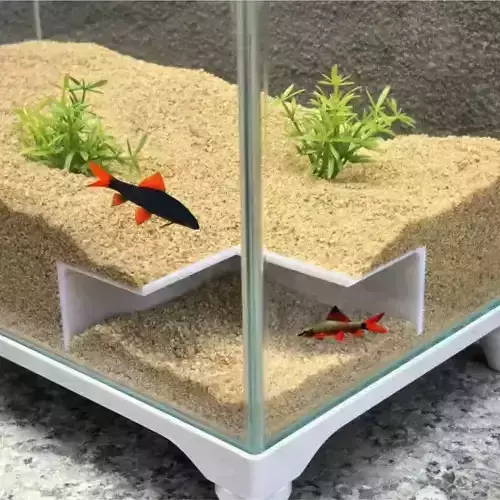 Tunel para peces 7 - acuario - pecera