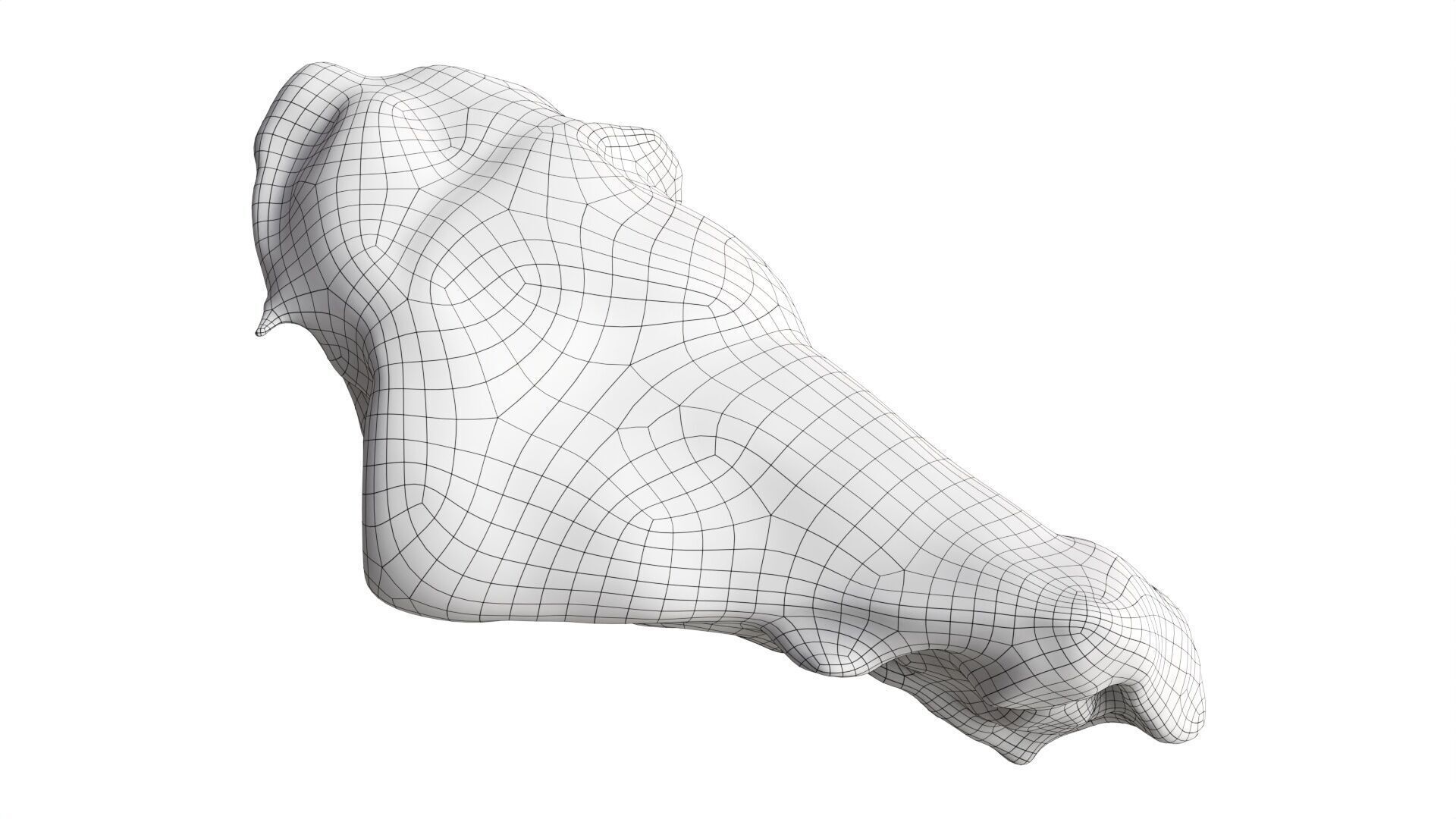 Small grilled chicken leg drumstick Low-poly 3D model_6