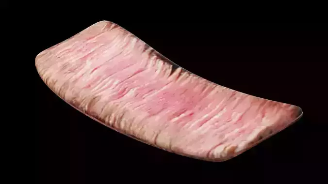 Slice of Beef