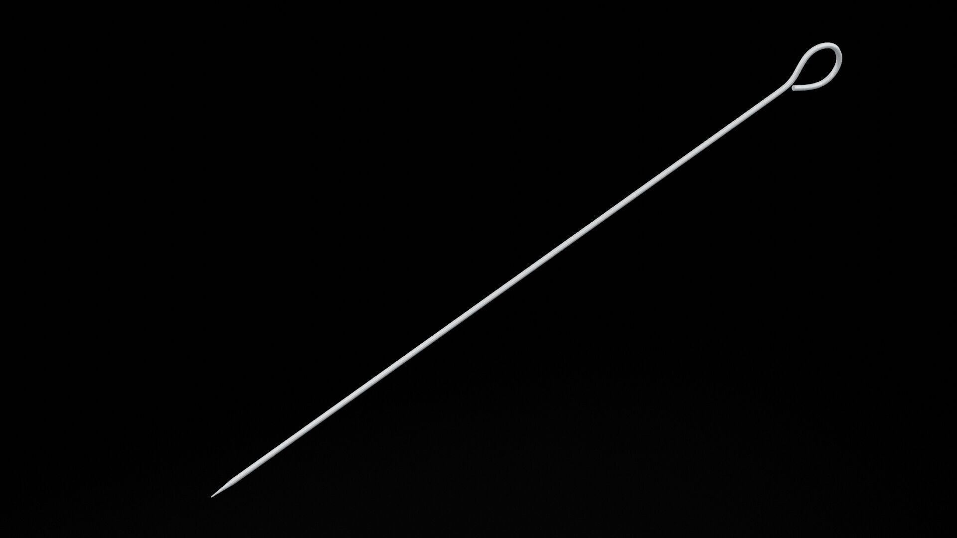 Barbecue Skewer Low-poly 3D model_3