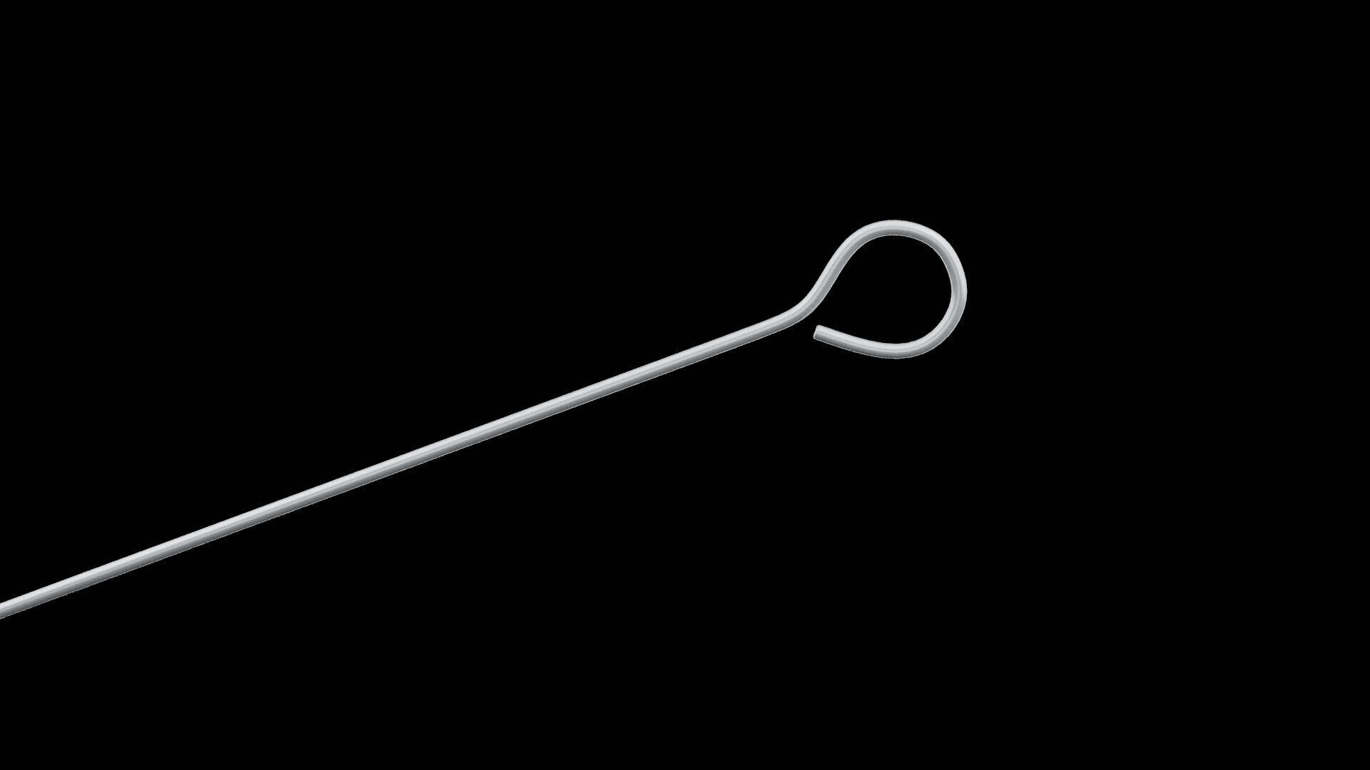 Barbecue Skewer Low-poly 3D model_2