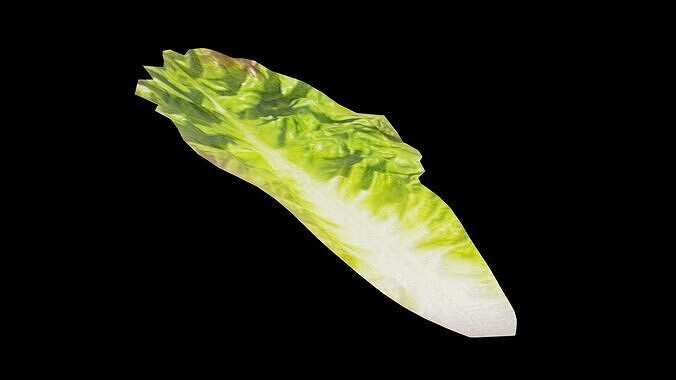 Lettuce Vegetable Low-poly 3D model 5