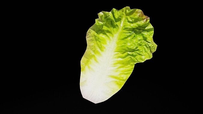 Lettuce Vegetable Low-poly 3D model 4