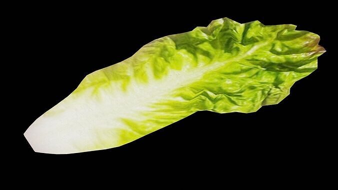 Lettuce Vegetable Low-poly 3D model 3