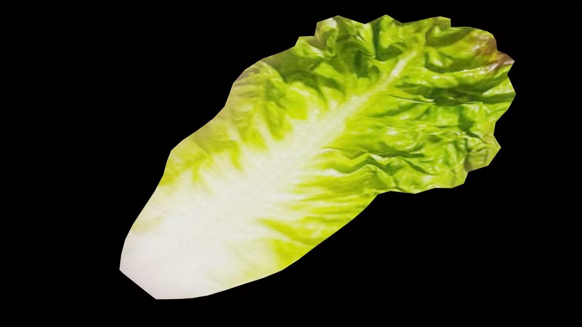 Lettuce Vegetable Low-poly 3D model