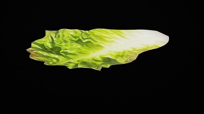 Lettuce Vegetable Low-poly 3D model 2