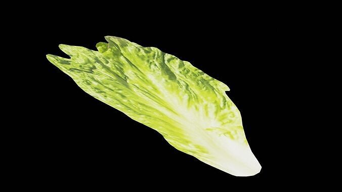 Lettuce Vegetable Low-poly 3D model 5