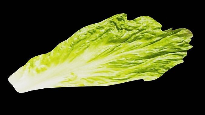 Lettuce Vegetable Low-poly 3D model 3