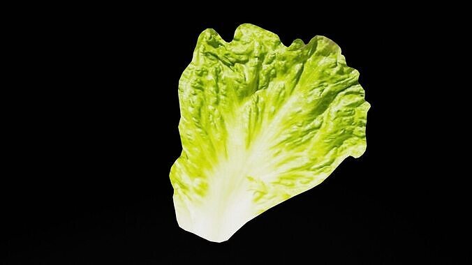 Lettuce Vegetable Low-poly 3D model 4