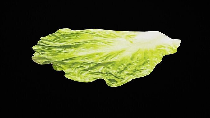 Lettuce Vegetable Low-poly 3D model 2