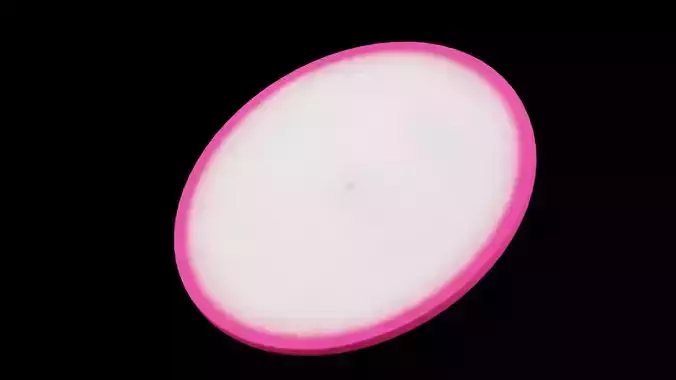 Slice of Radish