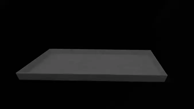 Black Tray Serving Food