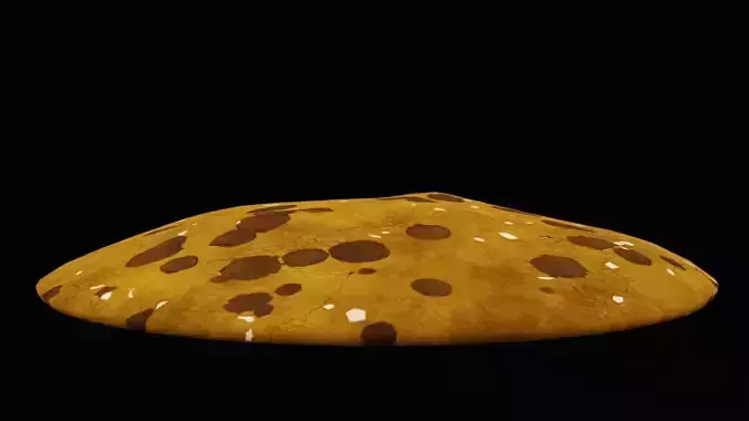 Cookie With Chocolate Chips