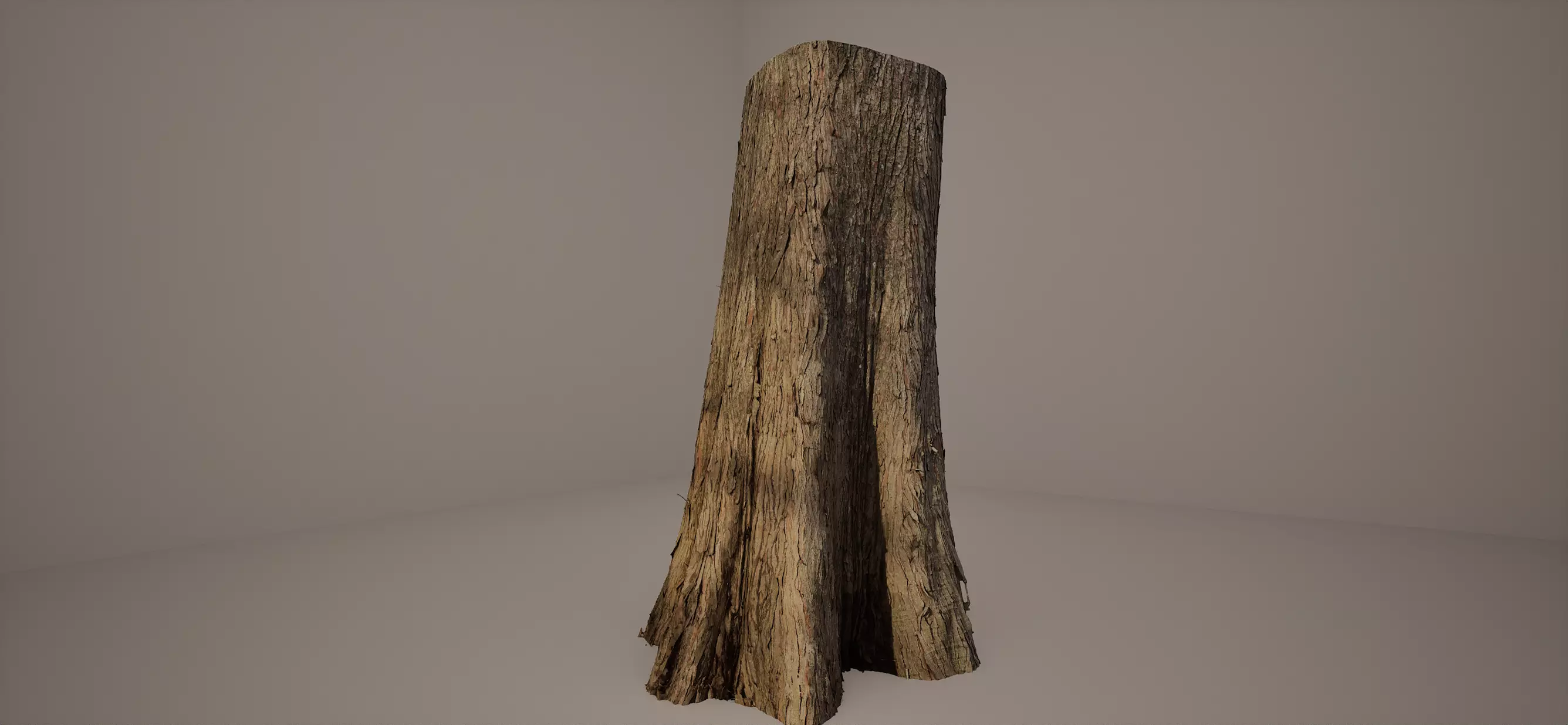 Bald Cypress Large Photoscan Source and Processed Included 3D model_0