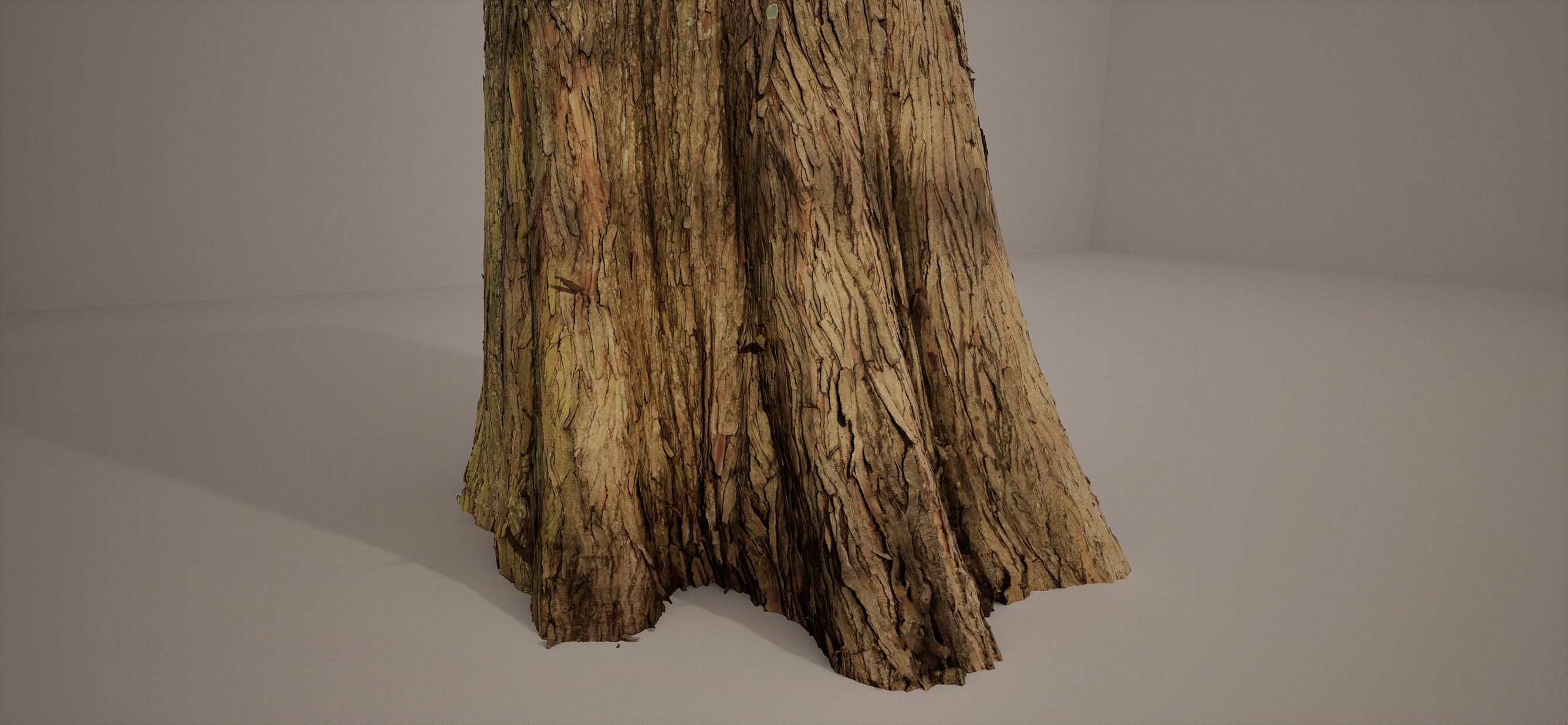 Bald Cypress Large Photoscan Source and Processed Included 3D model_1