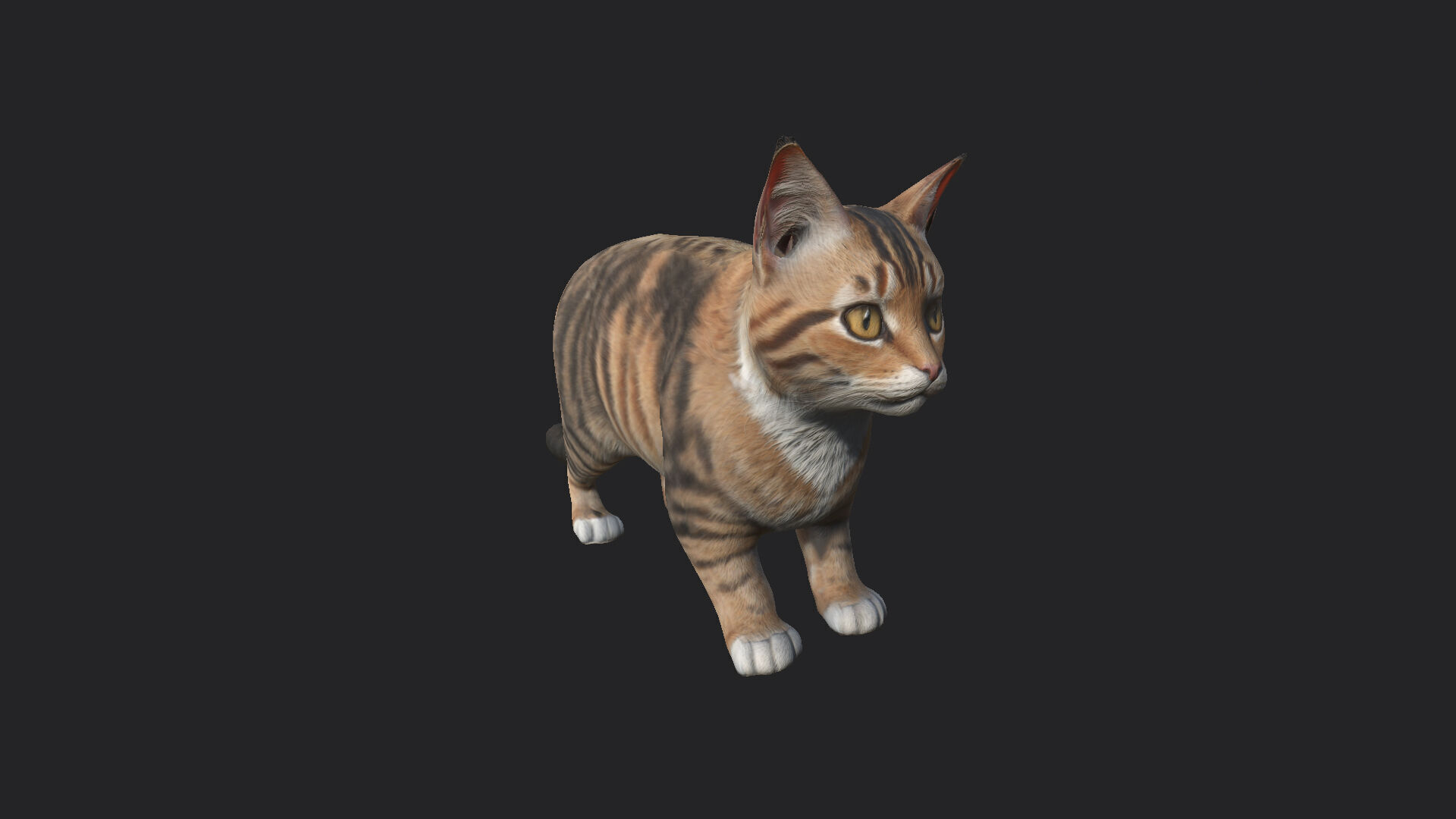 Cat 3D Model 001 Low-poly 3D model_12