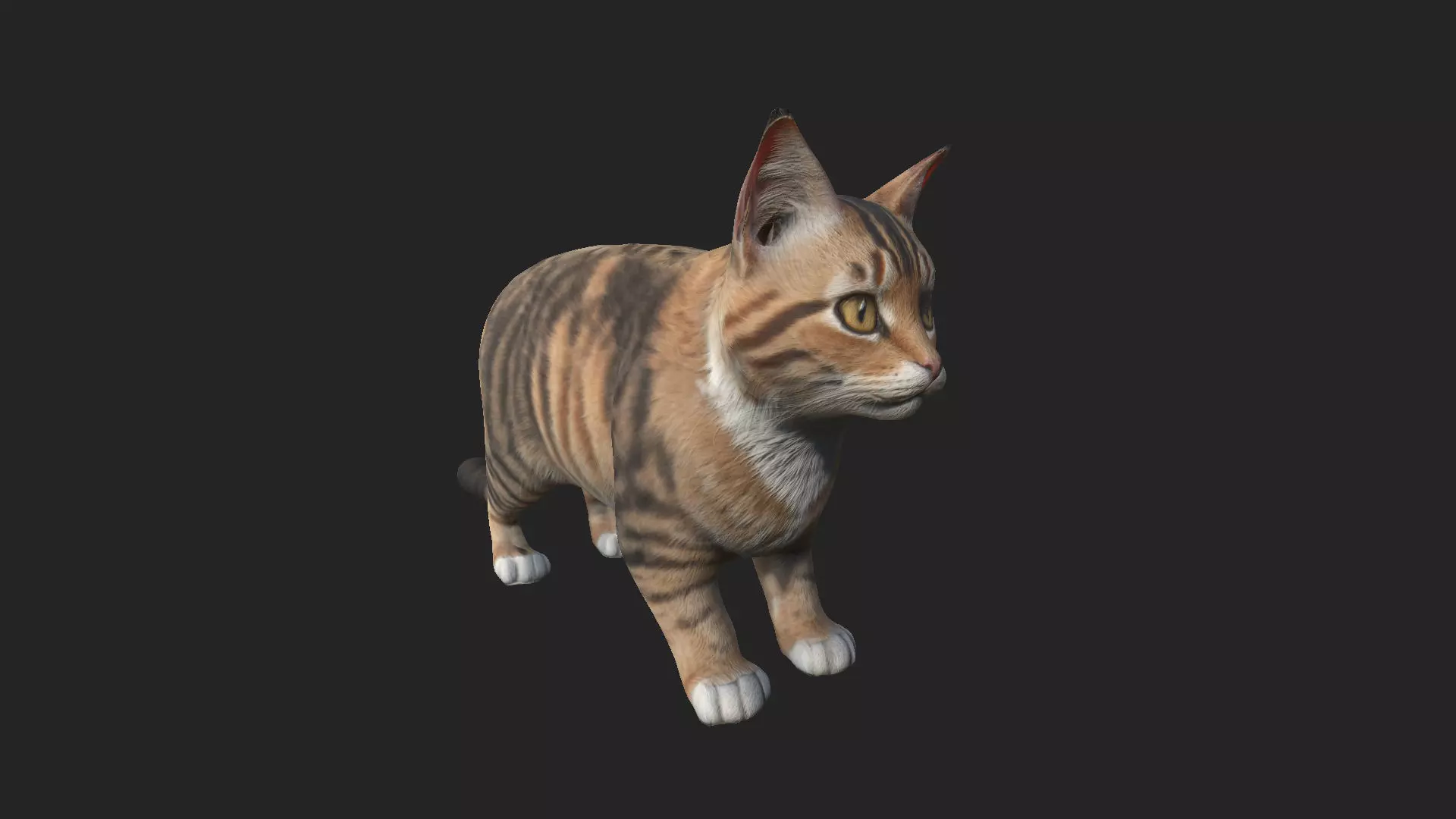 Cat 3D Model 001 Low-poly 3D model_0