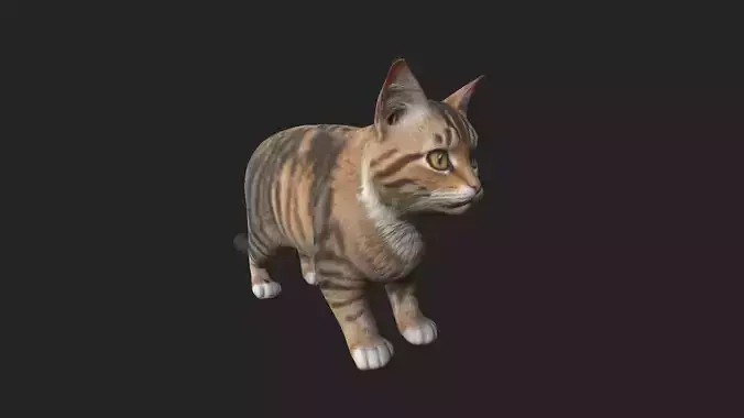 Cat 3D Model 001