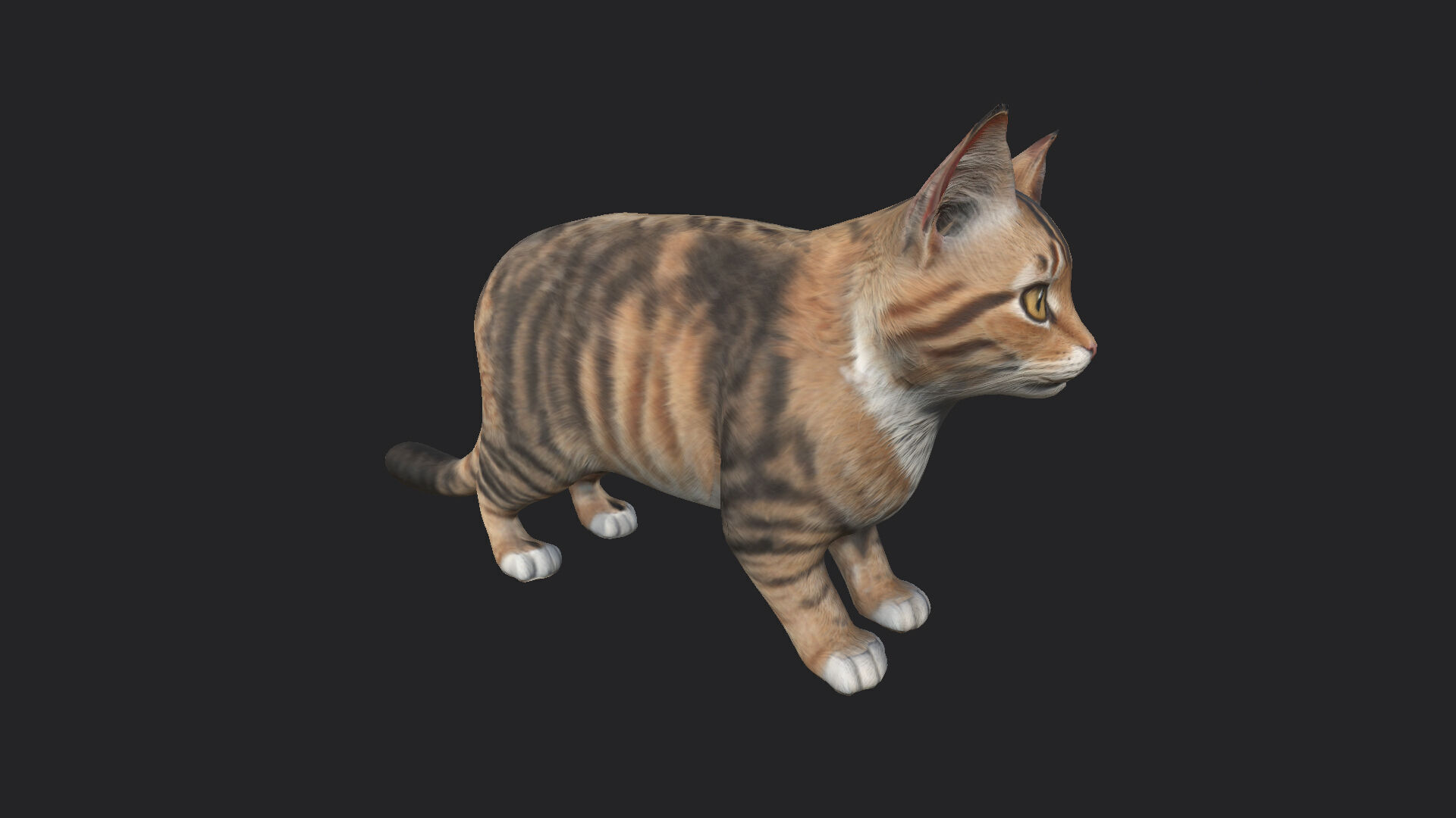 Cat 3D Model 001 Low-poly 3D model_11
