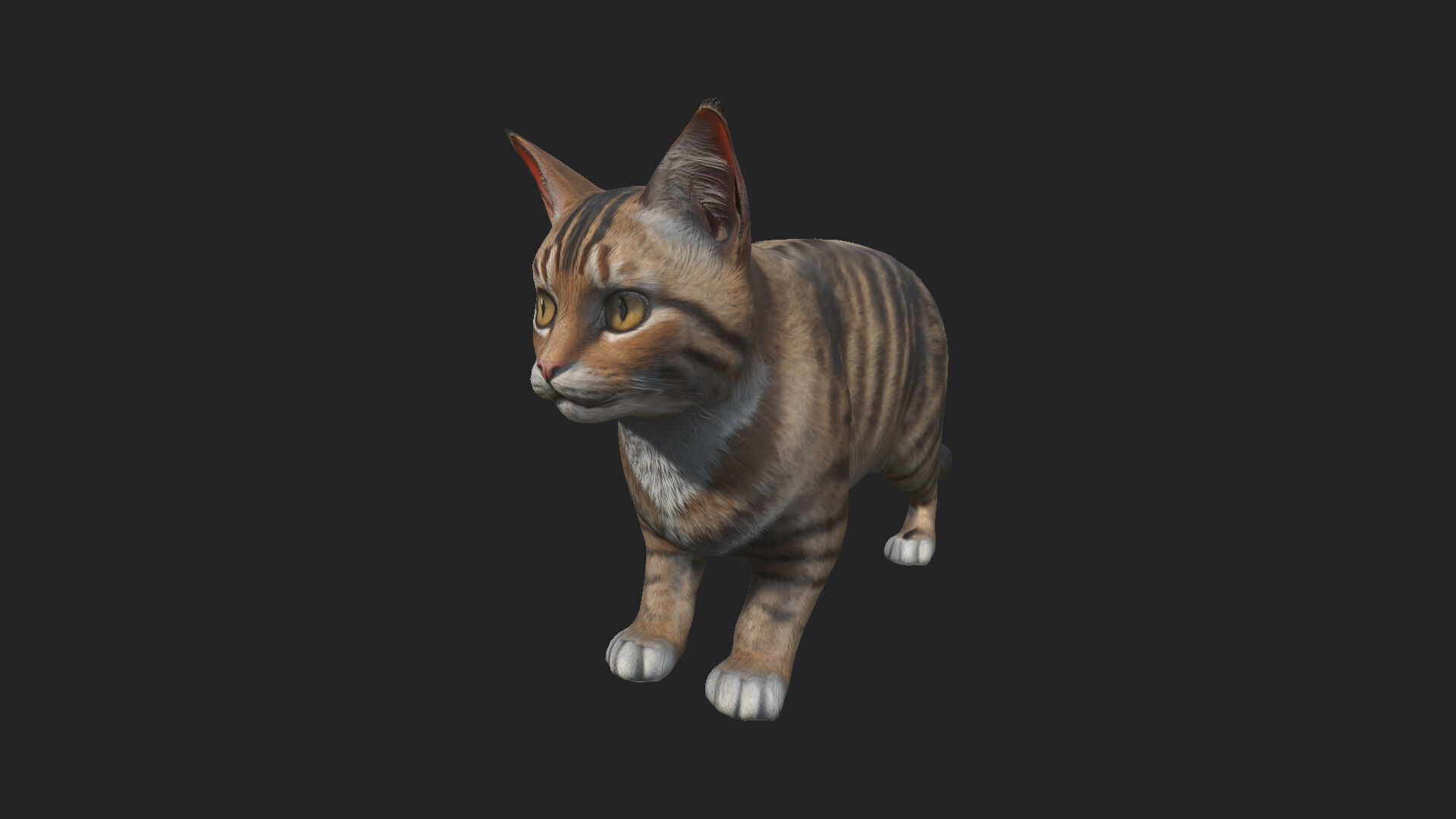 Cat 3D Model 001 Low-poly 3D model_2