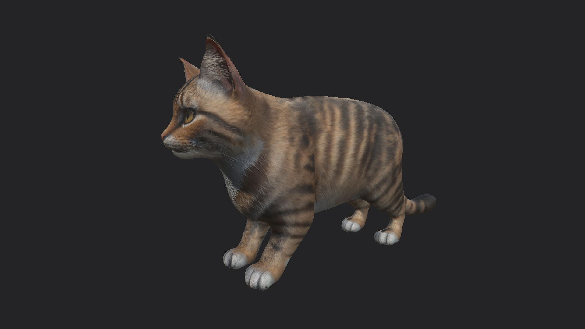 Cat 3D Model 001 Low-poly 3D model_3