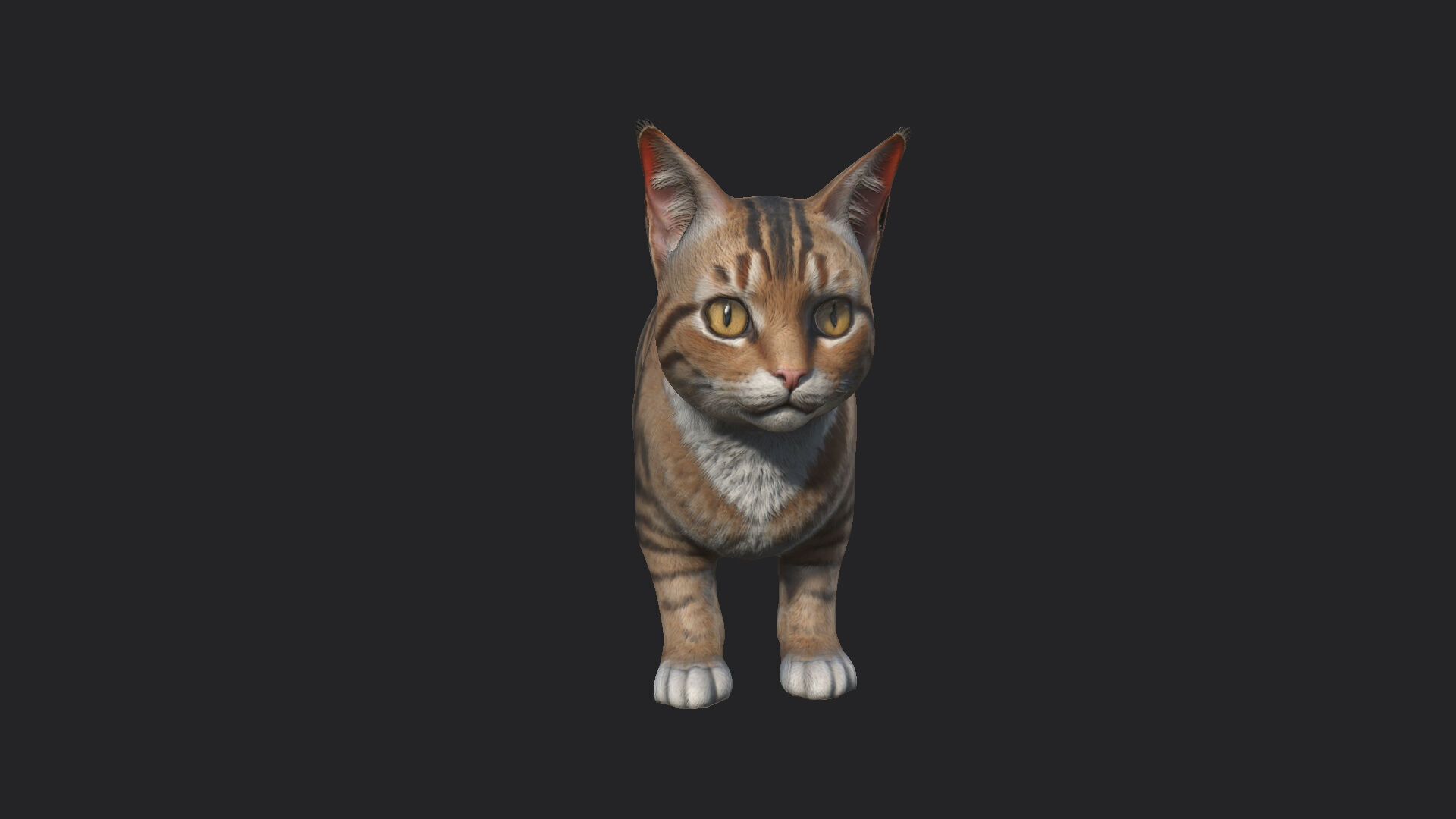 Cat 3D Model 001 Low-poly 3D model_1