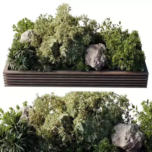 Plant Box - Outdoor Plants set 224
