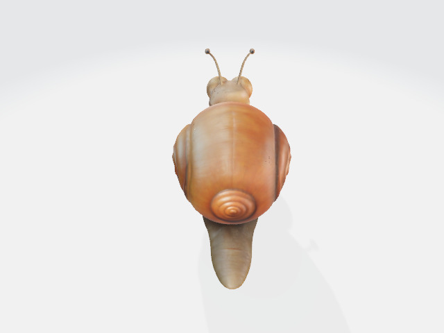Cartoon snail 3D model_2