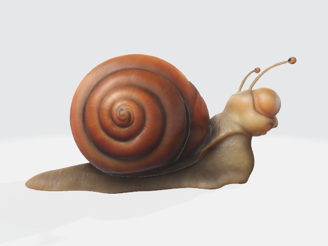 Cartoon snail 3D model_1