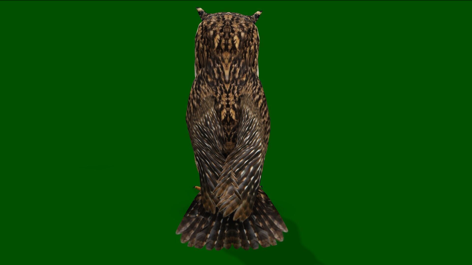 OWL RIGGED ANIMATED 7 Low-poly 3D model_4