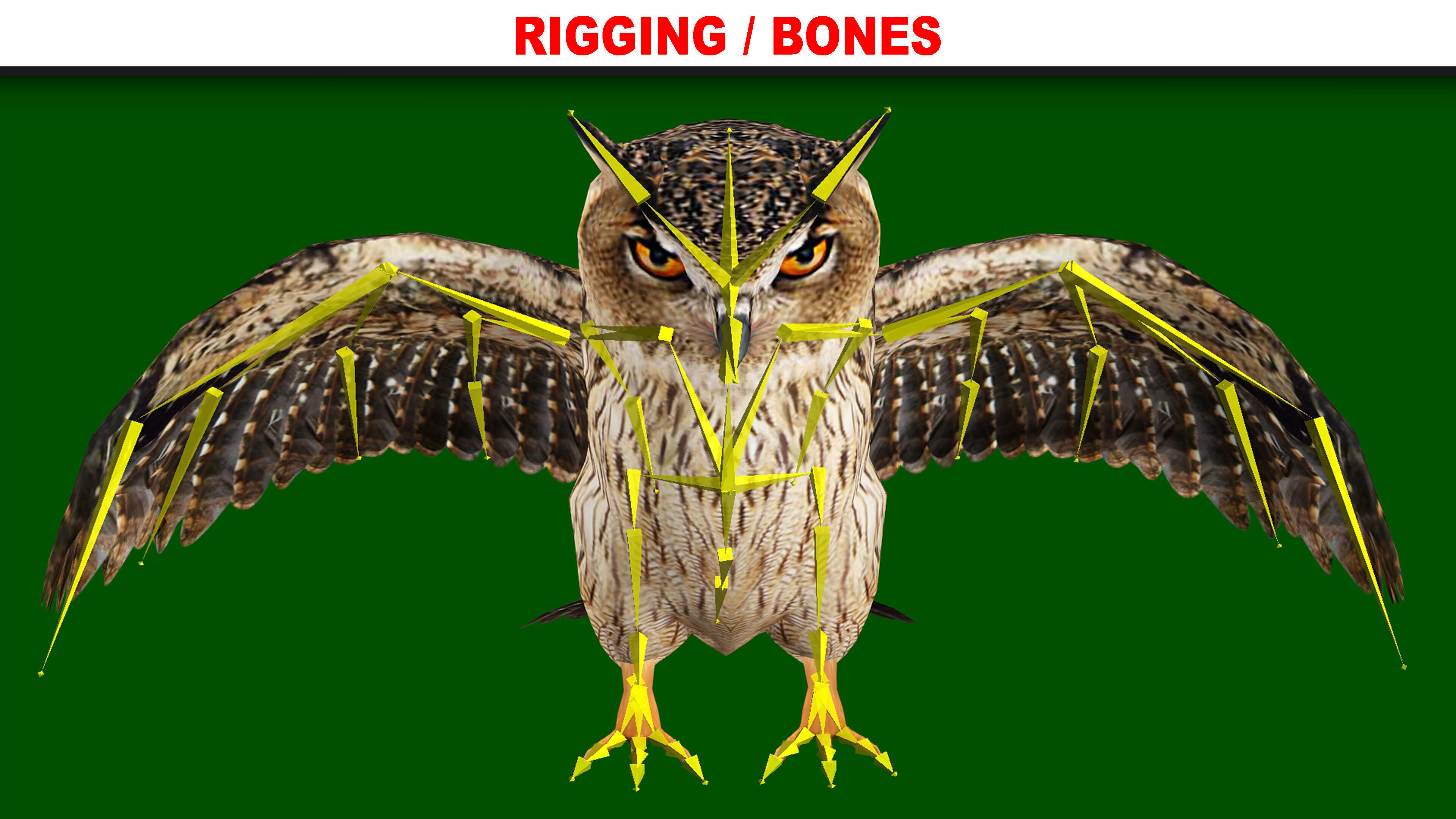OWL RIGGED ANIMATED 7 Low-poly 3D model_10