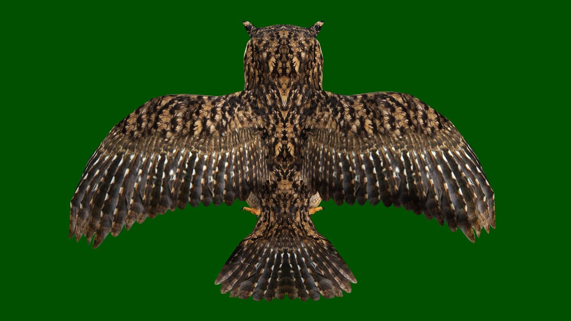 OWL RIGGED ANIMATED 7 Low-poly 3D model_8